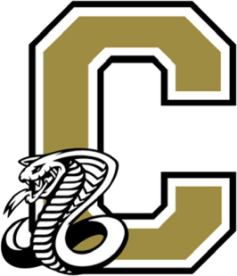 Cobra Softball